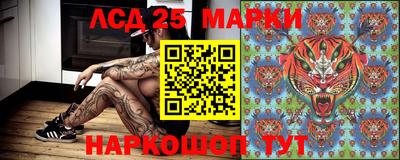 apvp Нальчик