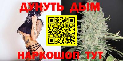 прущие грибы Новокубанск