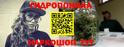 apvp Нальчик
