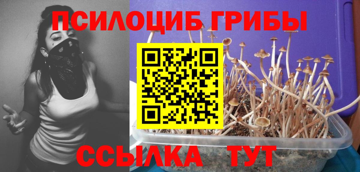 Псилоцибиновые грибы мухоморы Сухой Лог